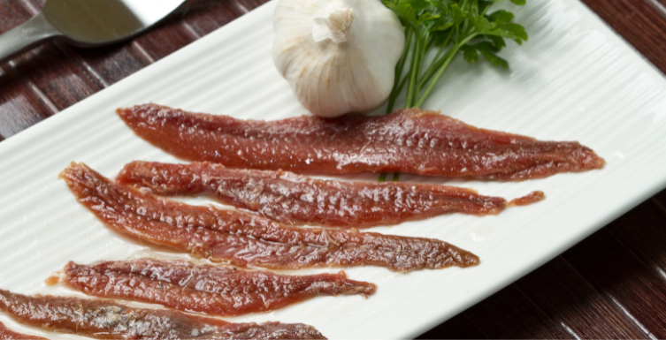 anchoas de Santoña